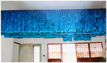 Sai Aruna's Tours & Travels