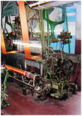 Sai Aruna's Tours & Travels