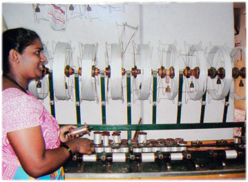 Sai Aruna's Tours & Travels