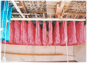 Sai Aruna's Tours & Travels