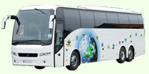 Sai Aruna's Tours & Travels