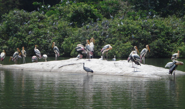 Srirangapatna Bandipur Ranganathittu